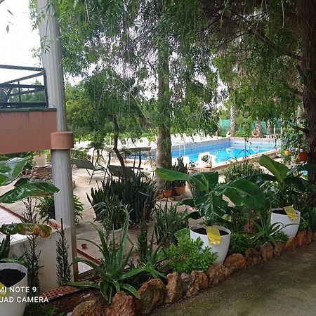 Casa Rural Complex Masia Del Tremendo Y Agroturismo Camarles Eksteriør billede