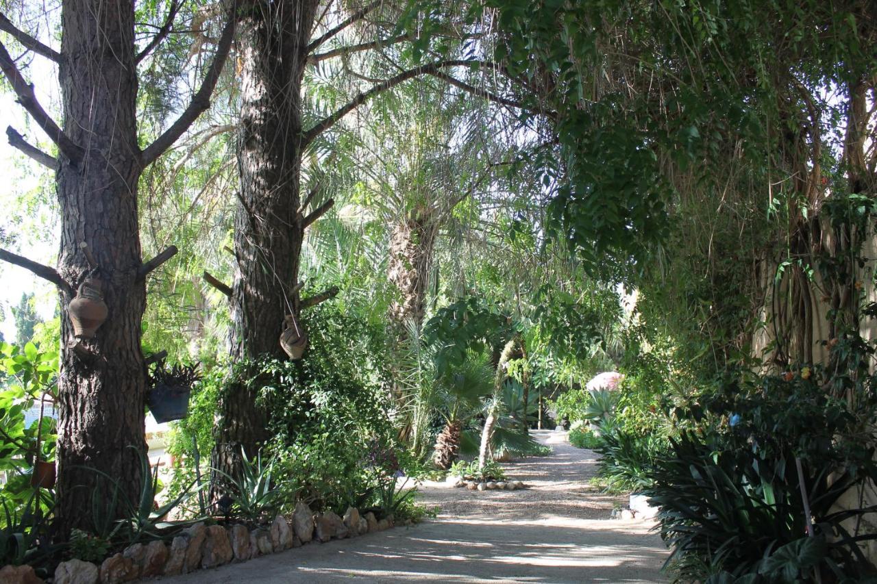 Casa Rural Complex Masia Del Tremendo Y Agroturismo Camarles Eksteriør billede