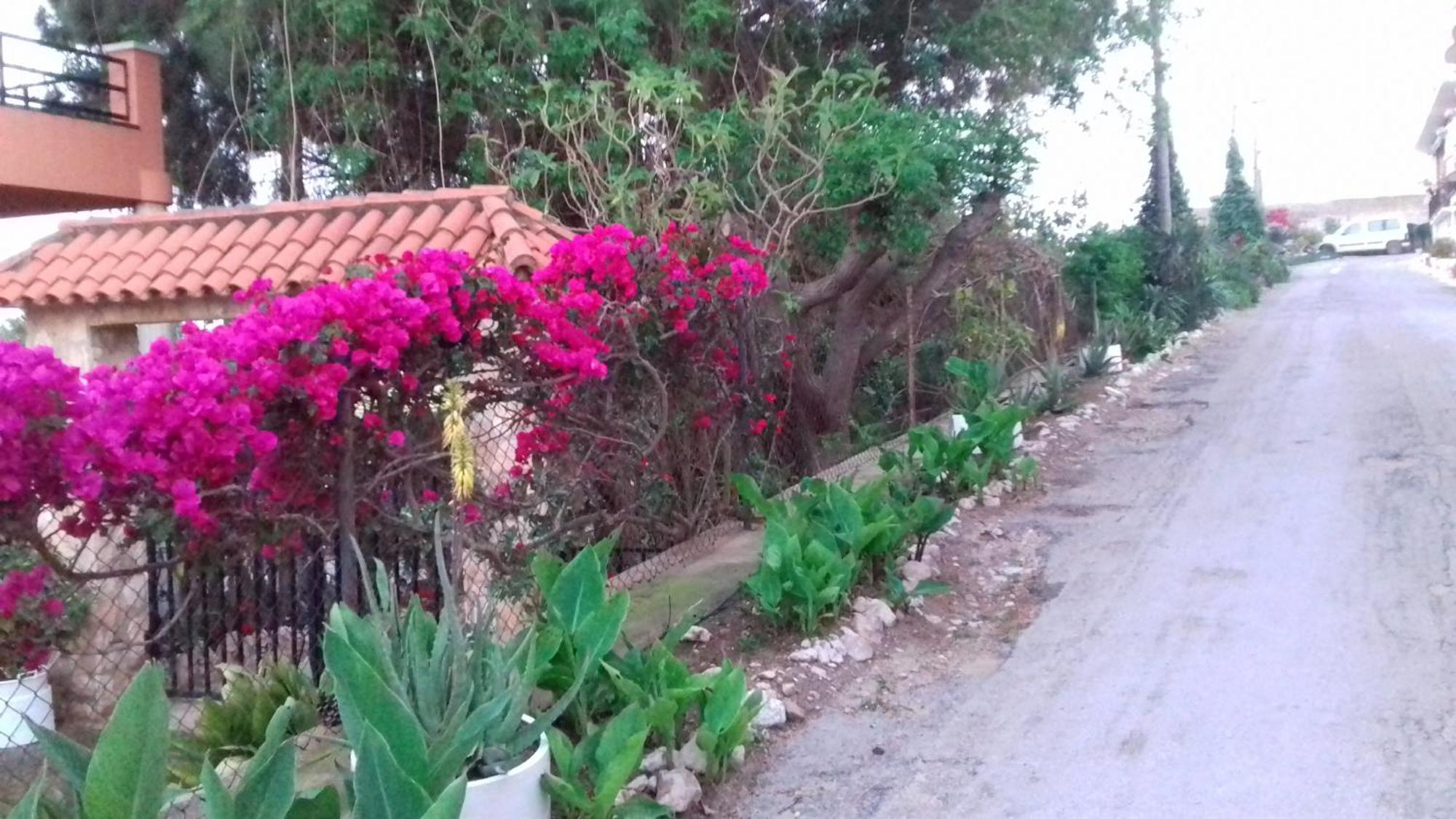 Casa Rural Complex Masia Del Tremendo Y Agroturismo Camarles Eksteriør billede